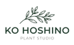 KO HOSHINO - ホーム